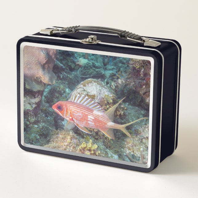 Korallenriff Longspine Squirrelfish Silvery Red Metall Brotdose (Vorderseite)