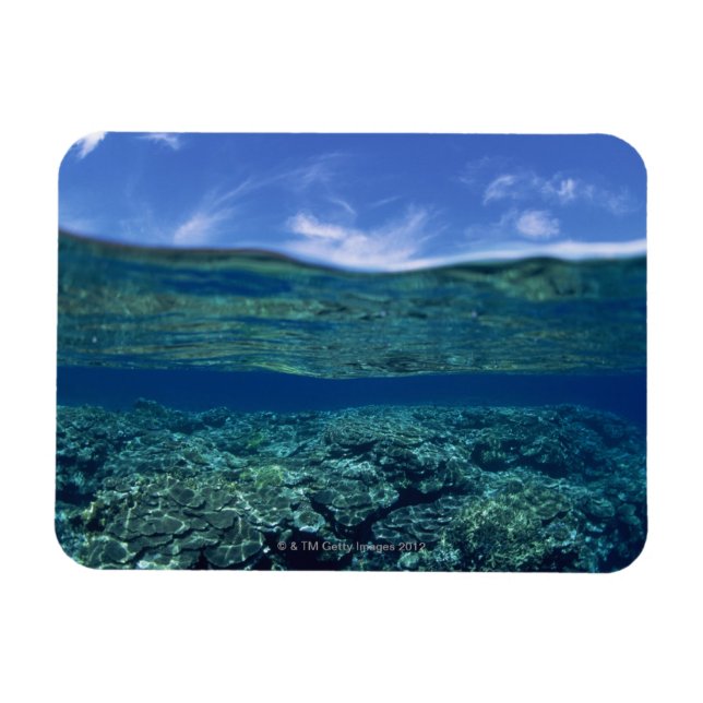 Korallenriff Magnet (Horizontal)