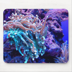 Korallenriff Meer anenome blauen rosa lila Ozean Mousepad