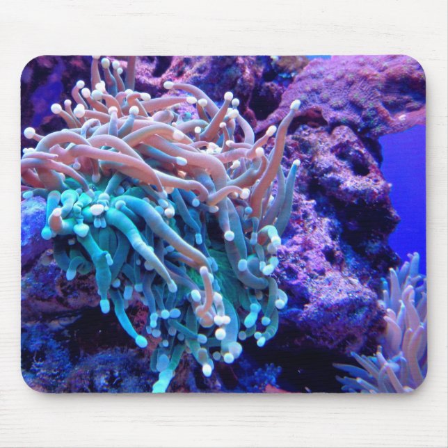 Korallenriff Meer anenome blauen rosa lila Ozean Mousepad (Vorne)