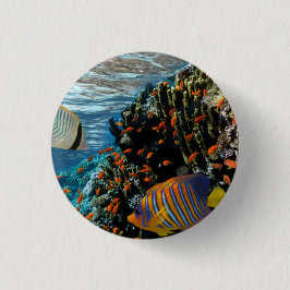 Korallenriff mit Feuerkorallen und exotischen Fisc Button