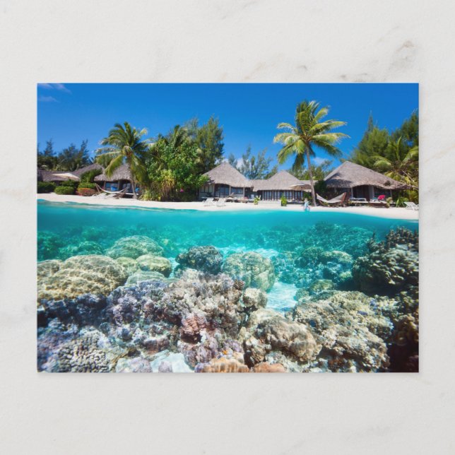 Korallenriff und ein tropisches Resort Postkarte (Vorderseite)