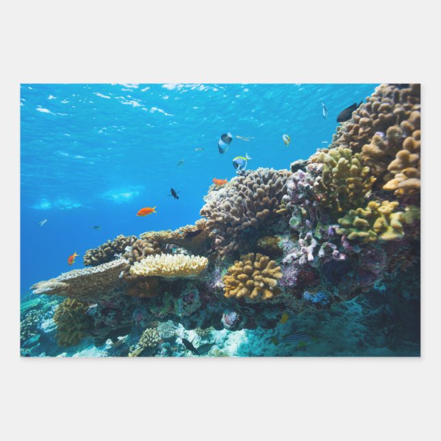 Korallenriff unter Wasser Geschenkpapier Set (Vorderseite)