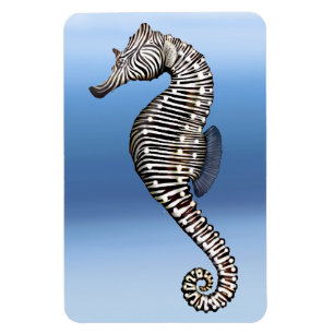 Korallenriffzebra-Seepferderstklassiger Flexi Magnet