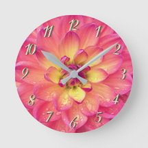 Korallenrosa Dahlia-Blume
