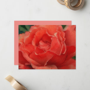 Korallenrosa Rosenblumen Kunst Notizkartenset Mitteilungskarte
