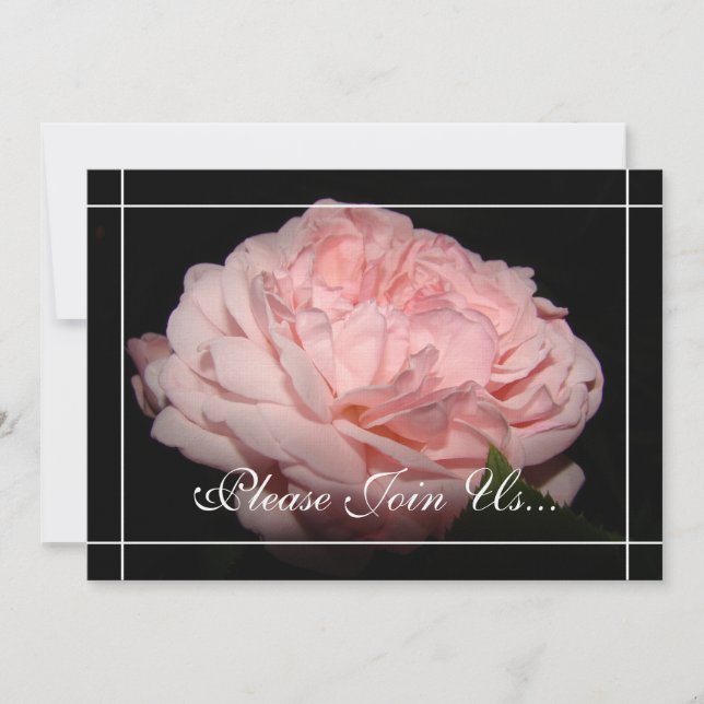 Korallenrote Einladung (Vorderseite)