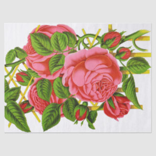 Korallenrote Rosen-Vintages Druck-Gewebe Seidenpapier