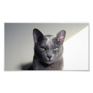 Korat Fotodruck