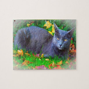 Korat Katze