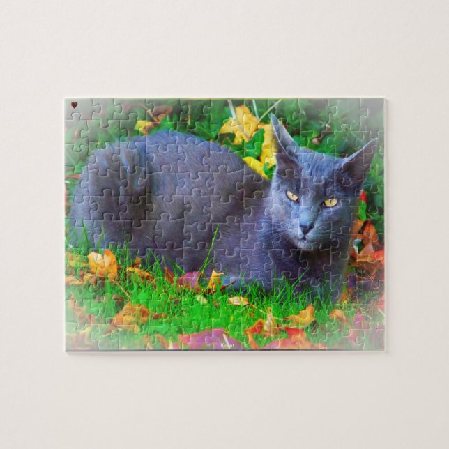 Korat Katze (Horizontal)