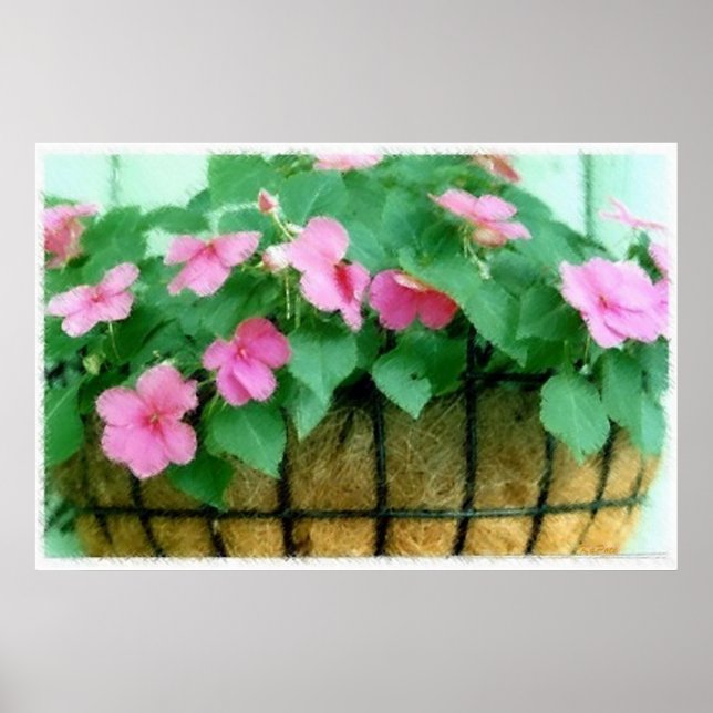 Korb der Impatiens Poster (Vorne)