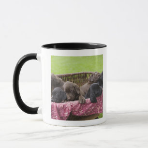 Korb von labrador retriever-Welpen Tasse