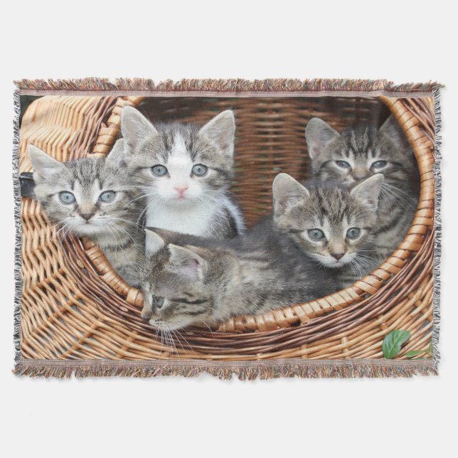 Körbchen mit Kätzchen Decke (Vorderseite)