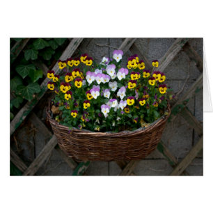 Körbchen mit Violas