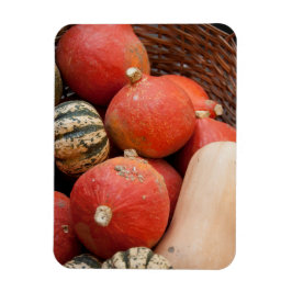 Körbe mit Kürbismagnet Magnet