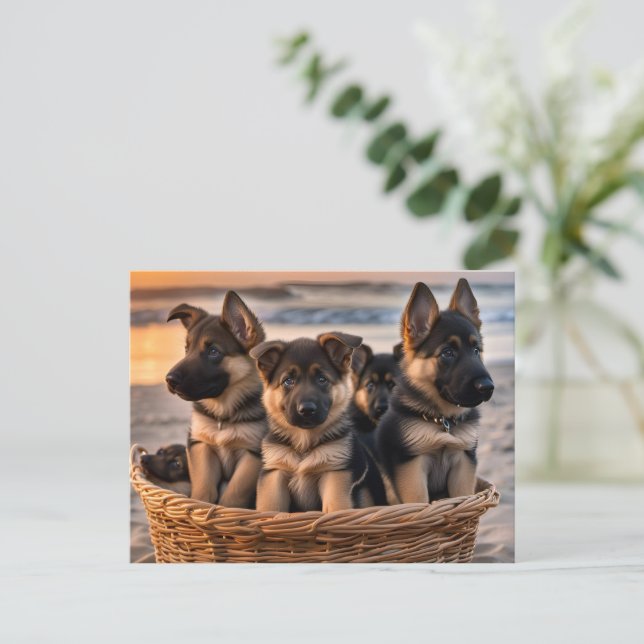 Körbe voll von deutschen Schäferwelpen Postkarte (Stehend Vorderseite)