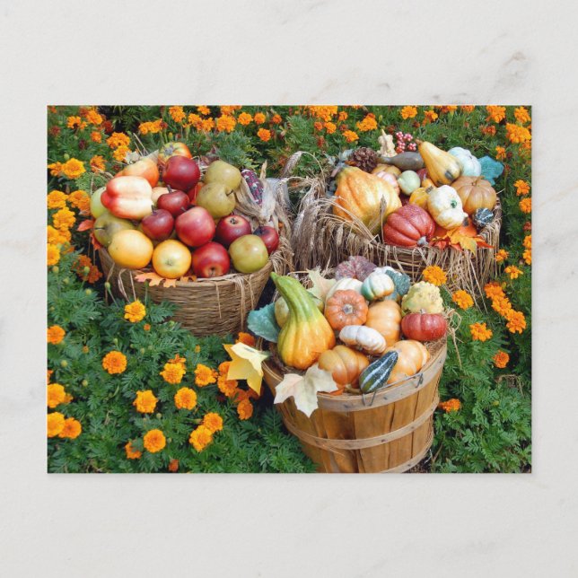 Körbe von Herbst Obst und Gemüse Postkarte (Vorderseite)