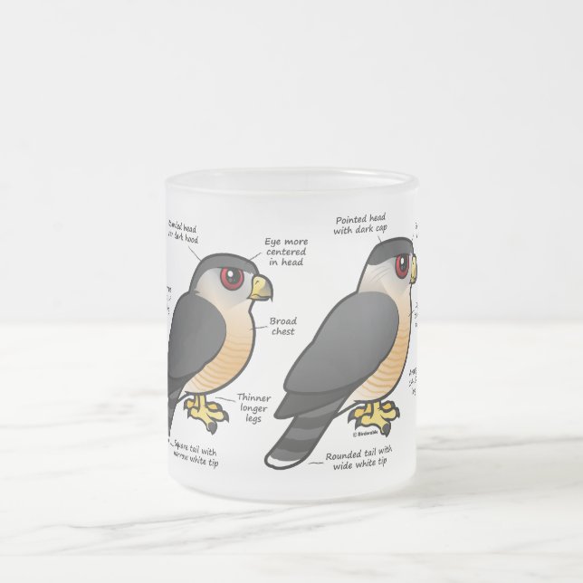 Korbv Sharpie Mattglastasse (Mittel)