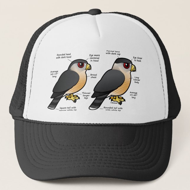 Korbv Sharpie Truckerkappe (Vorderseite)