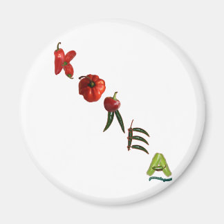 Korea Chili Paprikaschoten Magnet
