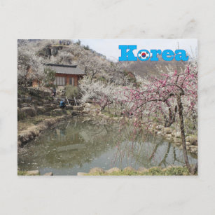 Korea-Frühling-Landschaft Postkarte
