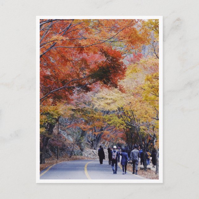 Korea Postcard Postkarte (Vorderseite)