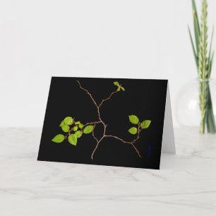 Korean Horbeam Bonsai card Karte
