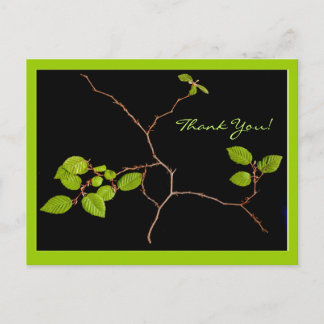 Korean Hornbeam bonsai vielen Dank Postkarte