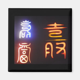 koreanische Symbole zwei Magnet