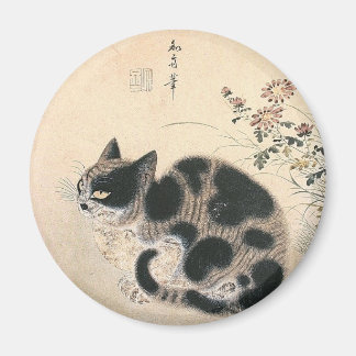 Koreanisches Chat-Artwork Magnet