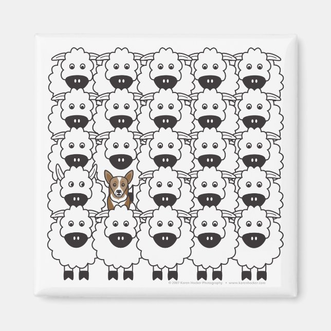 Korgi im Schafe Magnet (Vorne)