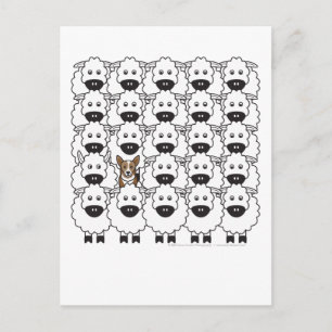 Korgi im Schafe Postkarte