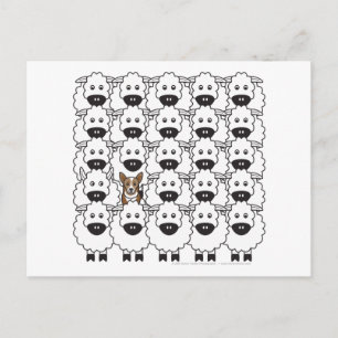 Korgi im Schafe Postkarte