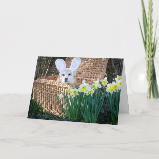 Korgi in einer Basket Ostergrusskarte Karte (Vorderseite)