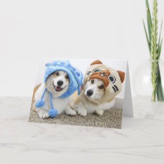 Korgis in Hats-Faltenkarte Karte