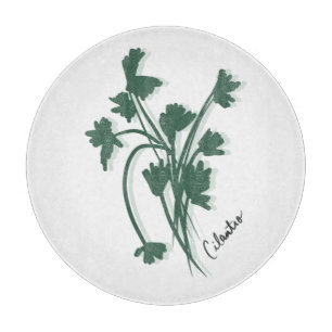Koriander-Kräutergarten Coriander Handgezeichnet Schneidebrett