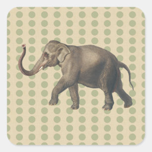 Koriander Spice Moods Punkte mit Elefant Quadratischer Aufkleber