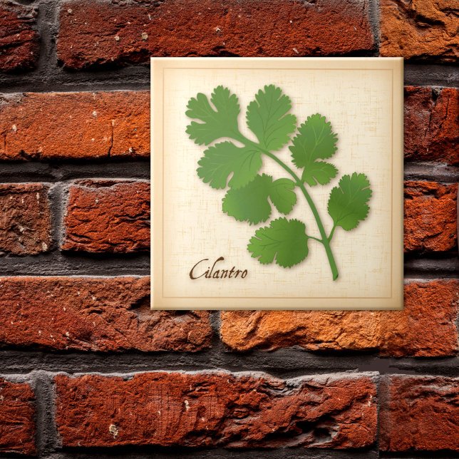 Korianderkraut Fliese (Cilantro Herb Ceramic Tile, aromatic leaves with a distinctive flavor. )