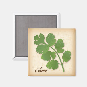 Korianderkraut Magnet