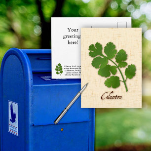 Korianderkraut-Postkarte anpassen Postkarte
