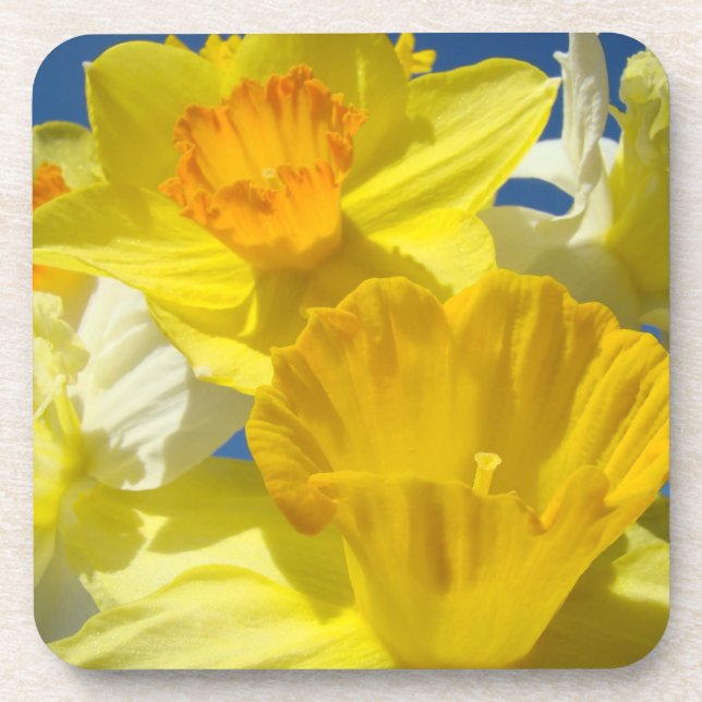 Korkuntersetzer Geschenke Frühling Gelbe Narzissen Untersetzer (Vorderseite)