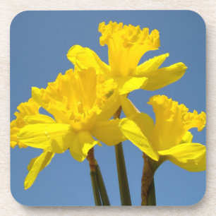Korkuntersetzer Natur Osterglocken Blumen Osterglo Getränkeuntersetzer