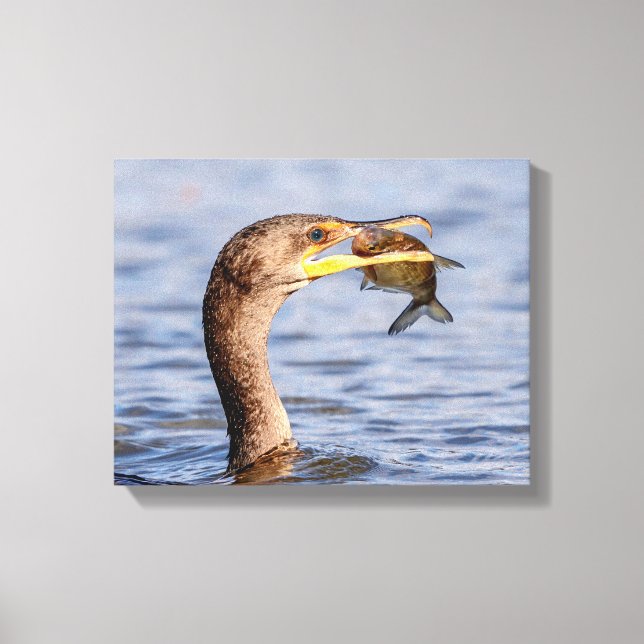Kormoran mit Fisch Leinwanddruck (Vorderseite)
