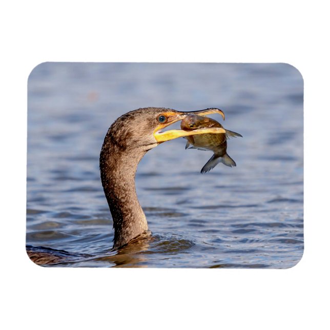 Kormoran mit Fisch Magnet (Horizontal)