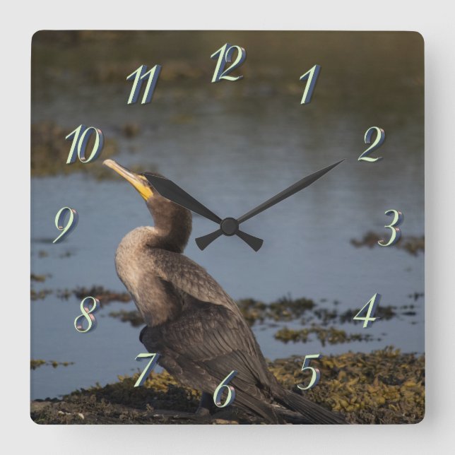 Kormoran Quadratische Wanduhr (Vorderseite)