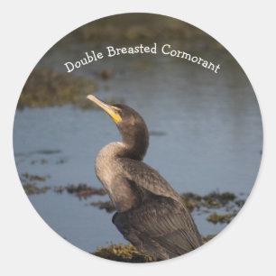 Kormoran Runder Aufkleber