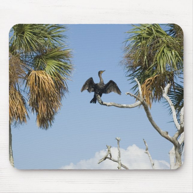 Kormoran Trockenwings Mousepad (Vorne)