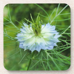 Kornblume Getränkeuntersetzer