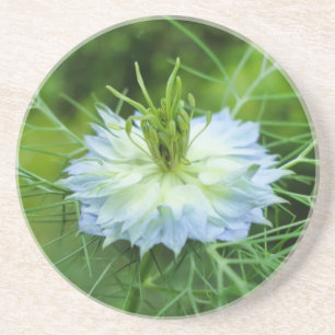 Kornblume Getränkeuntersetzer